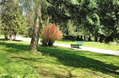 Giardini e aree verdi