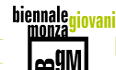 Biennale Giovani Monza 2017